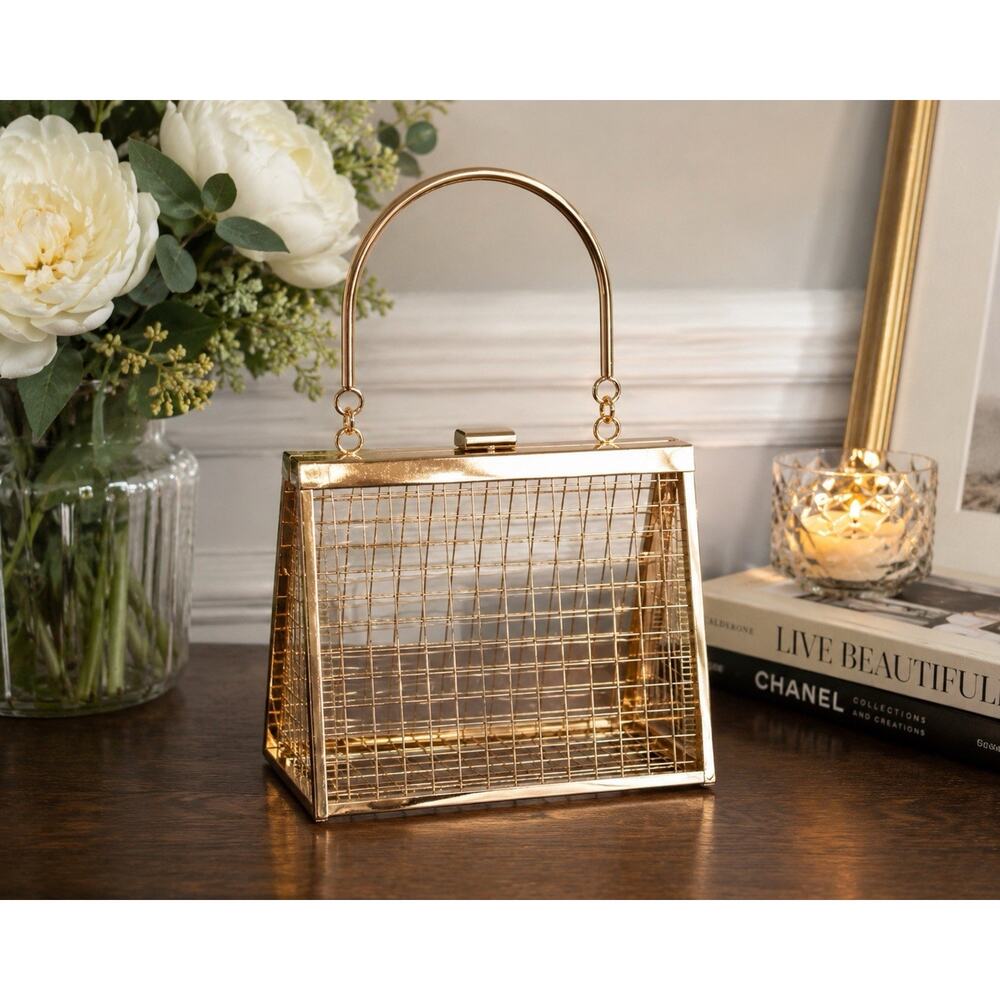 Architectural Rose Gold Cage Purse Acrylic Lucite Evening Box Bag